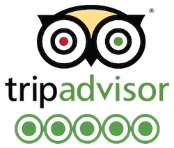 Trip Advisor Logo 5 Star